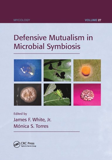 bokomslag Defensive Mutualism in Microbial Symbiosis