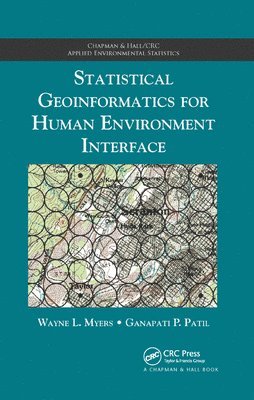 Statistical Geoinformatics for Human Environment Interface 1