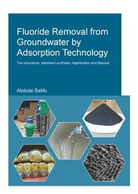 bokomslag Fluoride Removal from Groundwater by Adsorption Technology