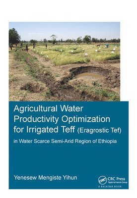 bokomslag Agricultural Water Productivity Optimization for Irrigated Teff (Eragrostic Tef) in a Water Scarce Semi-Arid Region of Ethiopia