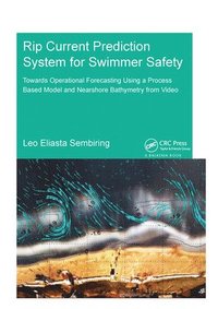 bokomslag Rip Current Prediction System for Swimmer Safety