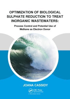 Optimization of Biological Sulphate Reduction to Treat Inorganic Wastewaters 1