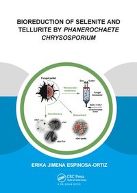 bokomslag Bioreduction of Selenite and Tellurite by Phanerochaete Chrysosporium