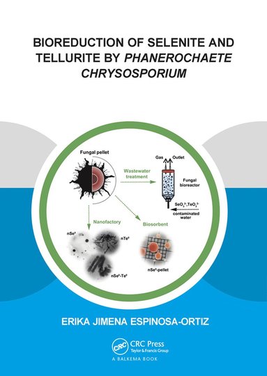 bokomslag Bioreduction of Selenite and Tellurite by Phanerochaete Chrysosporium