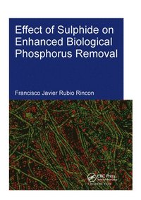 bokomslag Effect of Sulphide on Enhanced Biological Phosphorus Removal