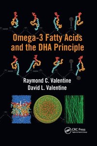 bokomslag Omega-3 Fatty Acids and the DHA Principle