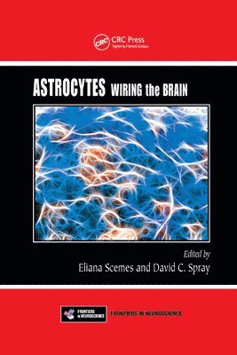 bokomslag Astrocytes