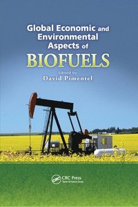 bokomslag Global Economic and Environmental Aspects of Biofuels