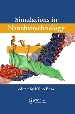 Simulations in Nanobiotechnology 1