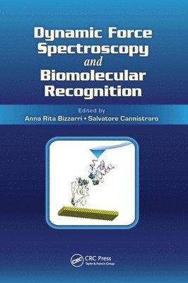 Dynamic Force Spectroscopy and Biomolecular Recognition 1