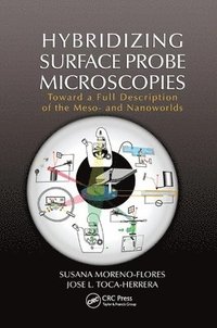 bokomslag Hybridizing Surface Probe Microscopies