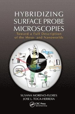 Hybridizing Surface Probe Microscopies 1