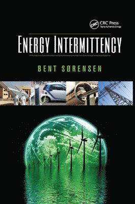 bokomslag Energy Intermittency