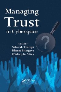 bokomslag Managing Trust in Cyberspace