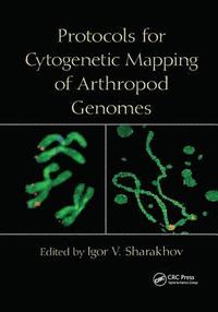 bokomslag Protocols for Cytogenetic Mapping of Arthropod Genomes