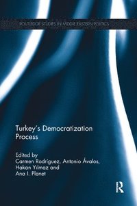 bokomslag Turkey's Democratization Process
