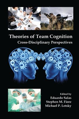 bokomslag Theories of Team Cognition