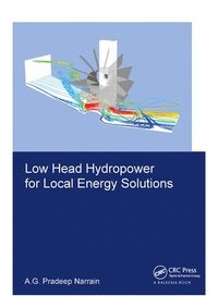 bokomslag Low Head Hydropower for Local Energy Solutions