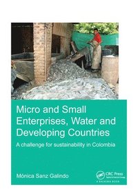 bokomslag Micro and Small Enterprises, Water and Developing Countries