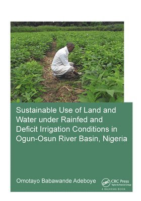 bokomslag Sustainable Use of Land and Water Under Rainfed and Deficit Irrigation Conditions in Ogun-Osun River Basin, Nigeria