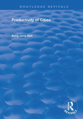 bokomslag Productivity of Cities