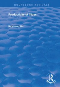 bokomslag Productivity of Cities