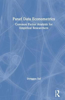 bokomslag Panel Data Econometrics