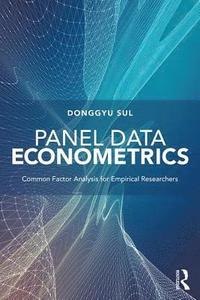 bokomslag Panel Data Econometrics