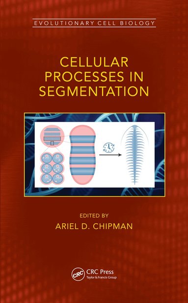 Ariel Chipman - Cellular Processes in Segmentation, Inbunden