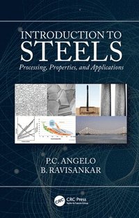 bokomslag Introduction to Steels