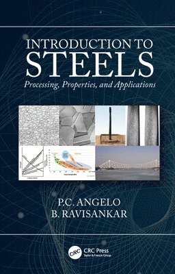 bokomslag Introduction to Steels