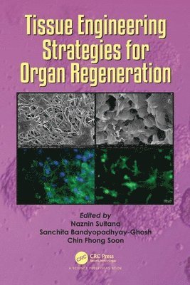 bokomslag Tissue Engineering Strategies for Organ Regeneration