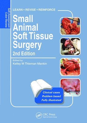 Small Animal Soft Tissue Surgery 1