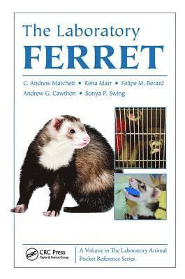 The Laboratory Ferret 1