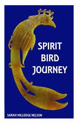 bokomslag Spirit Bird Journey