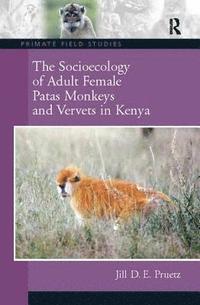 bokomslag The Socioecology of Adult Female Patas Monkeys and Vervets in Kenya