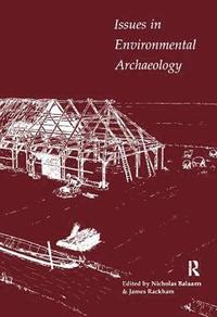 bokomslag Issues in Environmental Archaeology