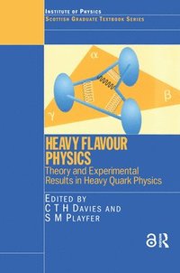 bokomslag Heavy Flavour Physics Theory and Experimental Results in Heavy Quark Physics