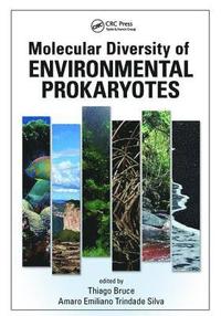 bokomslag Molecular Diversity of Environmental Prokaryotes