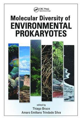 Molecular Diversity of Environmental Prokaryotes 1