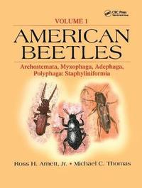 bokomslag American Beetles Vol 1