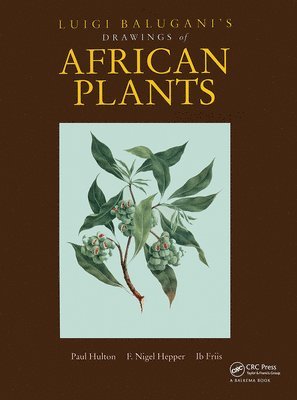 bokomslag Luigi Balugani's Drawings of African Plants