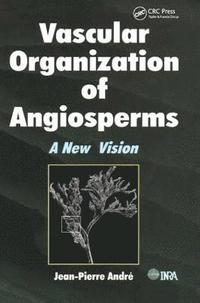 bokomslag Vascular Organization of Angiosperms