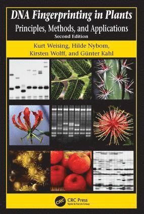 Kurt Weising, Hilde Nybom, Markus Pfenninger, Kirsten Wolff, Günter Kahl - DNA Fingerprinting in Plants, Inbunden