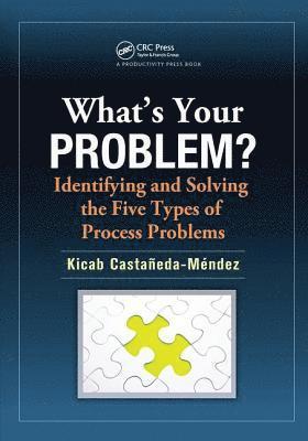 bokomslag What's Your Problem? Identifying and Solving the Five Types of Process Problems