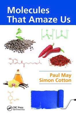 bokomslag Molecules That Amaze Us