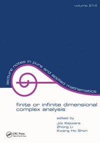bokomslag Finite or Infinite Dimensional Complex Analysis
