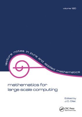 Julio Diaz - Mathematics for Large Scale Computing, Inbunden