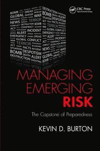 bokomslag Managing Emerging Risk