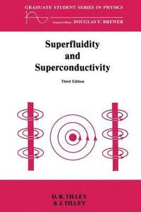 bokomslag Superfluidity and Superconductivity